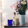 DECHOUS 12pcs Multi-use Glass Candle Jars Lids Empty Candle Containers for Diy Aromatherapy Home Decor and Tealight Holders and Elegant Design view 4