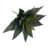 PRETYZOOM Artificial Succulent Plant Decor Realistic Faux Tiger Plant Simulation Greenery for Home and Office Height Easy Care Indoor Decoration view 1