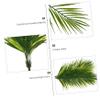 ABOOFAN 2pcs Imitation Plants Simulation Sago Cycas Decor Home Fake Sago Cycas Leaf Indoor Plants Decor Artificial Plant Adornment Fake Plants Garden Home Decor Plastic Sago Cycas Leaf, 50X20CM view 4