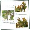Cabilock 2pcs Artificial Greenery Ornaments Realistic Eucalyptus Money Leaf Floral Decor for Home Office Wedding and Gift Giving Fresh Natural Look for Long-Lasting Use view 3