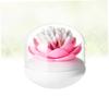 NAMOARLY Elegant Container Plastic Storage Box Lid Cotton Swabs Holder view 3