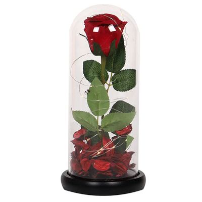 HOOTNEE Elegant Led Rose Lantern Glass Unique Home Decor Ideal Present for Girlfriend's Birthday