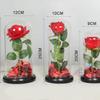 HOOTNEE Elegant Led Rose Lantern Glass Unique Home Decor Ideal Present for Girlfriend's Birthday view 4