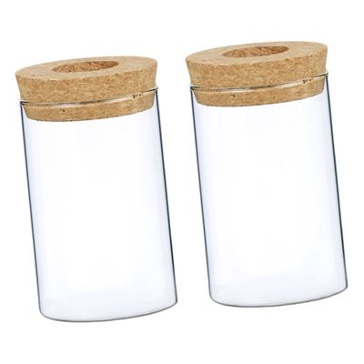 GOOHOCHY 2pcs Delicate Glass Flower Vase with Cork Top Hydroponic Container for Indoor Greenery Stylish Desktop Decor for Home Office and Bedroom