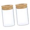 GOOHOCHY 2pcs Delicate Glass Flower Vase with Cork Top Hydroponic Container for Indoor Greenery Stylish Desktop Decor for Home Office and Bedroom view 1
