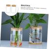 GOOHOCHY 2pcs Delicate Glass Flower Vase with Cork Top Hydroponic Container for Indoor Greenery Stylish Desktop Decor for Home Office and Bedroom view 3