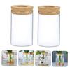 GOOHOCHY 2pcs Delicate Glass Flower Vase with Cork Top Hydroponic Container for Indoor Greenery Stylish Desktop Decor for Home Office and Bedroom view 4
