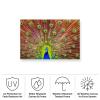 Trademark Fine Art Outdoor Canvas Art - Michael 'Peacock' Wall Art for Outdoor Spaces, Patios, or Gardens view 2