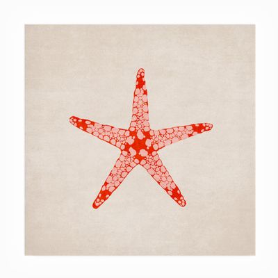 Trademark Fine Art Outdoor Canvas Art - Emel Tunaboylu 'Sea Star' Wall Art for Outdoor Spaces, Patios, or Gardens