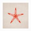 Trademark Fine Art Outdoor Canvas Art - Emel Tunaboylu 'Sea Star' Wall Art for Outdoor Spaces, Patios, or Gardens view 1