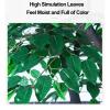 ESRADA Indoor Large Artificial Banyan Trees Simulation Plants Large Fake Banyan Tree Decoration Tree Hotel Shopping Mall Floor Living Room Green Plant Landscaping 2x1.5m/6.6x4.9ft view 4