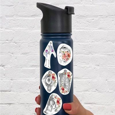 Anatomy Laptop Stickers: Versatile Tumbler & Water Bottle Decals with Anatomical Design With Flowers / Transparent
