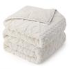 Drewin Weighted Blanket 15lbs Queen Size, Soft and Thick Jacquard Sherpa Heavy Blanket for Calming and Relax, Dual Sided Ultra Soft Fuzzy Throw Blanket with Ceramic Beads, 60 x 80 inches, Cream White view 1