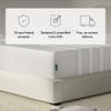 Leesa Twin XL Size Youth Foam Mattress, Medium Firm Firmness, Soothing Foam and Responsive Memory Foam, 10", CertiPUR-US Certified Foam, 120-Night Trial view 2
