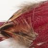 Worth Imports 5" Feathered Red Metal Clip, Set of 6 Bird, Burgundy view 2