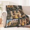 Dmkjdzsw Personalised BlanketCustom Blanket Soft Cosy Custom Blanket for Adults KidsPersonalised Gifts for Mum, Dad, Boyfriend-E-80 * 120CM view 2
