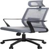 TUOYIBO Home Office Desk Chair High-Back Executive Office Chair, Mesh Computer Desk Chair, Ergonomic Design Adjustable Seat Height, 360 Swivel Chair with Headrest view 1