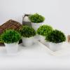 CJSUEYZS Artificial Green Plant Potted Plant Combination Desktop Ornaments, Artificial Flowers, Artificial Plants, Pulp, Round Bonsai view 3