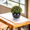 CJSUEYZS Artificial Green Plant Potted Plant Combination Desktop Ornaments, Artificial Flowers, Artificial Plants, Pulp, Round Bonsai view 4
