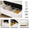 XTRYBHD Oval Lamb Fleece Bench with Storage, Entryway Bench, Bench for Bedroom End of Bed, for Beside Window, Living Room & Bedroom (Size : 39.3in/100cm) view 4