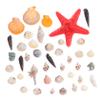 COLLBATH 1set Natural Seashells and Sea Snails for Crafts for Fish Tank Microlandscape Decoration for Home Decor and Beach-Themed Projects view 1