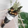 1Pcs Dried Flowers Bouquet Artificial Rose Dried Flower Bouquet Valentines Day Gift Dried Flower Home Decoration Photo Props for Home Wedding Party Gift (Chocolate rosegrass) view 3