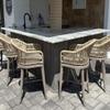 PURPLE LEAF Outside Patio Counter Stool Set of 4 Wicker with Back Champagne view 1