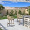 PURPLE LEAF Outside Patio Counter Stool Set of 4 Wicker with Back Champagne view 3