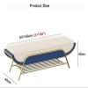 HAOKAZLBR Shoe Bench for Living Room Entryway Bench, Modern Shoe Rack Bench with Storage Shelf, Faux Leather Upholstered End of Bed Bench Seat,Bench Shoe Storage (Size : 80x40x45cm(31x16x18inch)) view 2