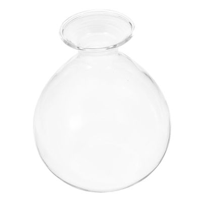 GARVALON Transparent Avocado Seed Starter Vase for Hydroponic Planting Elegant Glass Planter for Home Office and Garden for Plant Lovers and Gifting