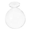 GARVALON Transparent Avocado Seed Starter Vase for Hydroponic Planting Elegant Glass Planter for Home Office and Garden for Plant Lovers and Gifting view 1