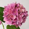 ZYTUYO Magenta Hydrangea Artificial Flowers 4PCS 19.6 inch Silk Real Touch Latex Lifelike Hydrangea Flower with Long Faux Stems for Centerpiece Table Home Kitchen Halloween Decorations view 2