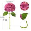 ZYTUYO Magenta Hydrangea Artificial Flowers 4PCS 19.6 inch Silk Real Touch Latex Lifelike Hydrangea Flower with Long Faux Stems for Centerpiece Table Home Kitchen Halloween Decorations view 3