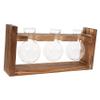 STOBAZA Elegant Desktop Glass Vase Plant Stand Hydroponic System for Succulent Decor for Home and Office view 1