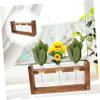 STOBAZA Elegant Desktop Glass Vase Plant Stand Hydroponic System for Succulent Decor for Home and Office view 2