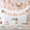 A Little Peach is on the Way Banner Baby Shower/Gender Revel Party Decorations Newborn Baby First Birthday Party Banner Fruit Theme Birthday Banner Rose Gold Glitter view 4