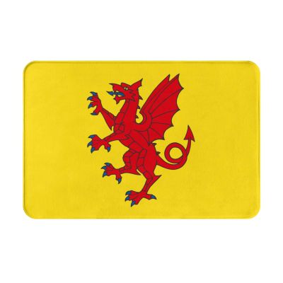 KOSPOGO Flag of Somerset Bathroom Rugs Ultra Soft Non Slip Bath Mat Durable Kitchen Bedroom Rug 16x24 Inch Area Rug Door Mat