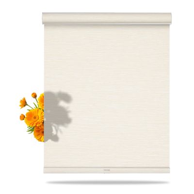 BERISSA Light Filtering Roller Shades for Windows with Cassette Valance Cordless, Jacquard Fabric Sheer Roller Blinds, Thermal Insulation for Door,Home Office,Easy to Install,Beige,35" W x 56" H