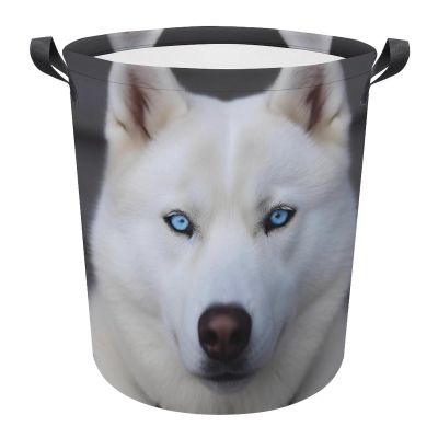 LFDSPYJE Laundry Basket Waterproof Laundry Hamper with Handles Foldable Dirty Clothes Hamper Blue Eyed White Husky Freestanding Laundry Bag Organizer Tall Storage Basket for Bedroom Bathroom Decor
