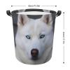 LFDSPYJE Laundry Basket Waterproof Laundry Hamper with Handles Foldable Dirty Clothes Hamper Blue Eyed White Husky Freestanding Laundry Bag Organizer Tall Storage Basket for Bedroom Bathroom Decor view 2