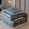 1PC 100% Feather Fabric Quilts Duvet Warm Blanket Winter Comforter (Color : Blue, Size : 220X240cm 4.0kg) view 2