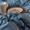 1PC 100% Feather Fabric Quilts Duvet Warm Blanket Winter Comforter (Color : Blue, Size : 220X240cm 4.0kg) view 4