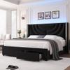 HITHOS Queen Upholstered LED Bed Frame with 2 Storage Drawers, Velvet Platform Bed with Wingback Headboard, Solid Wooden Slats Support, No Box Spring Needed, Headboard Splicing Design, Black view 1