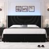 HITHOS Queen Upholstered LED Bed Frame with 2 Storage Drawers, Velvet Platform Bed with Wingback Headboard, Solid Wooden Slats Support, No Box Spring Needed, Headboard Splicing Design, Black view 4