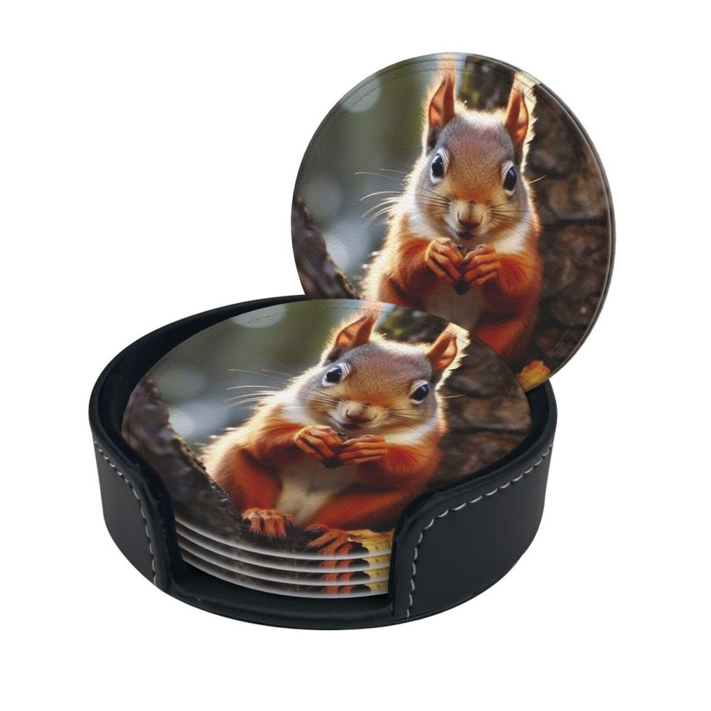 Stylish Coasters - Funny Squirrel Set of 6 Round Leather Drink Coasters with Holder - Perfect Size for Cups and Glasses