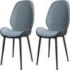 Guyifuny Dining Chair (2PCS) Dining Chair,Wear-Resistant Tech Cloth Cushion Back Chair (Sit Height 44cm),Multifunctional Wrought Iron Bracket Leisure Chair view 1