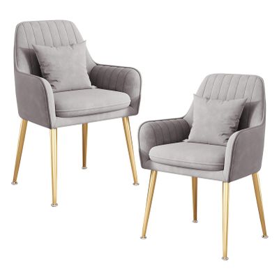 Guyifuny Set of 2 Velvet Dining Chairs, Kitchen Dining Room Chairs, Reception Chairs Armchairs for Bedroom Counter Lounge Living Room