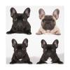 VTCTOASY Square Tablecloth Waterproof Wrinkle Free Table Cloth 60"x60" Decoration French Bulldog Table Cover Washable Kitchen Tablecloths for Picnic Party Wedding Holiday view 4