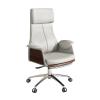 TUOYIBO Office Chair, Modern Grey PU Leather-High Back Executive Office Chair, Recliner with Adjustable Backrest (170), Arm Rest, Adult Size view 1
