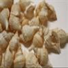 HomeLoft Basics 50pc DISTORSIO RETICULATA/Craft Supplies/Beach Wedding Accent Seashells/Wreath Supply/Jewelry Crafts/Jar Stuffers/Picture Framing Shells/SS-24 view 1